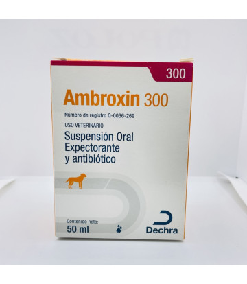 AMBROXIN 300