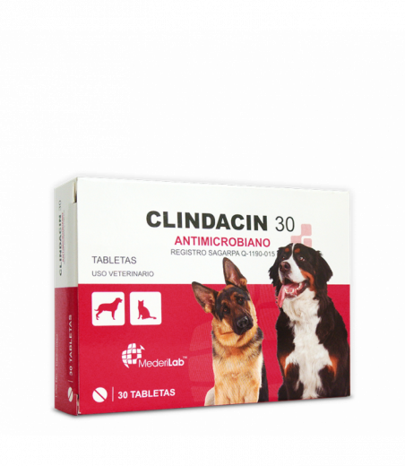 CLINDACIN 30 C/30 TABLETAS